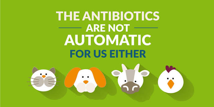 USE ANTIBIOTICS WISELY: PROTECT ANIMAL HEALTH AND FARM PROFITS